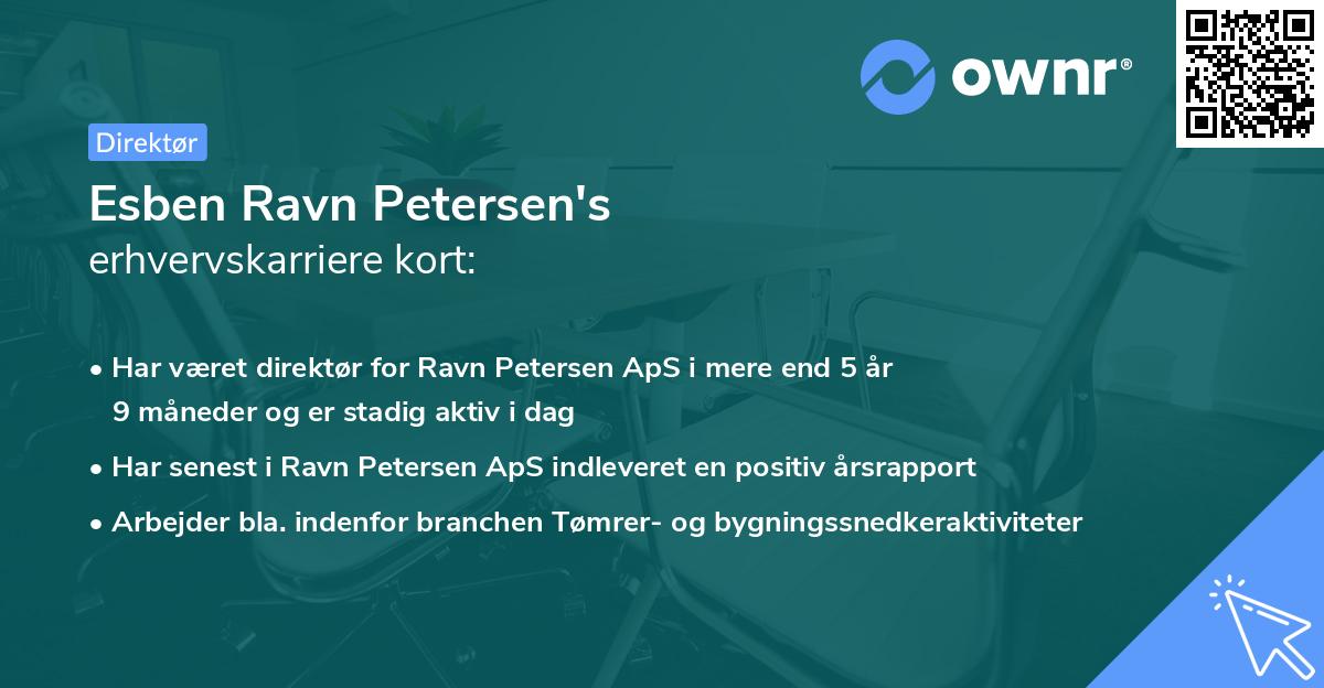 Esben Ravn Petersen's erhvervskarriere kort