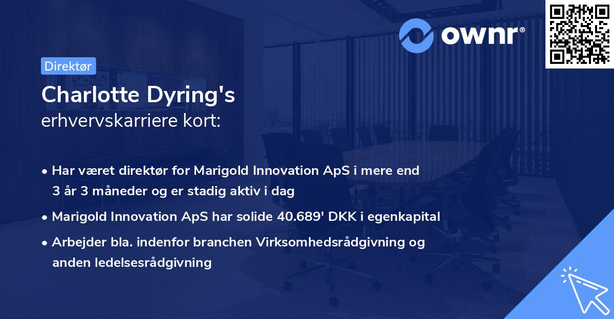 Charlotte Dyring's erhvervskarriere kort