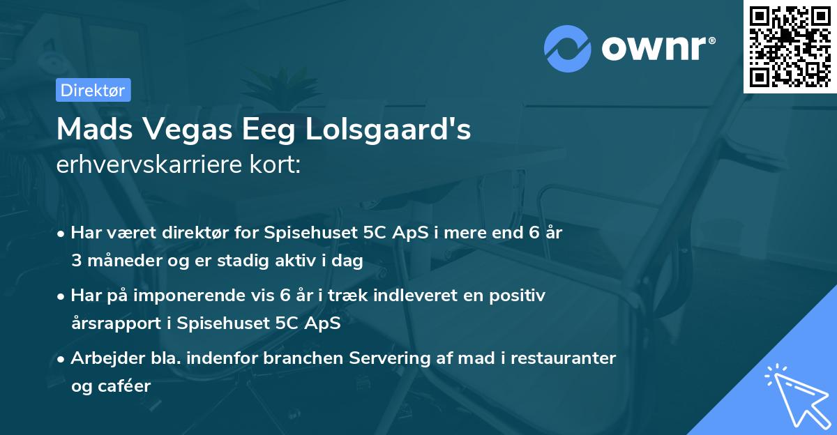 Mads Vegas Eeg Lolsgaard's erhvervskarriere kort