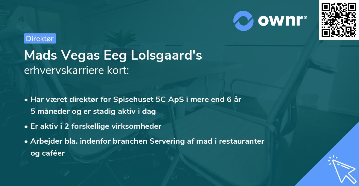 Mads Vegas Eeg Lolsgaard's erhvervskarriere kort