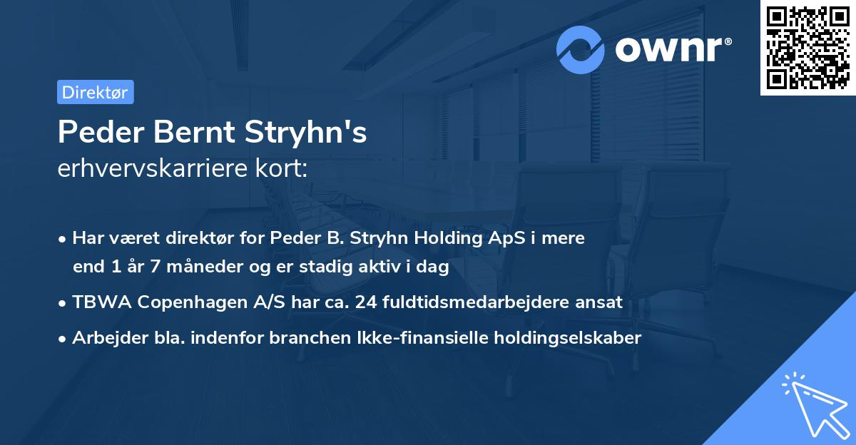 Peder Bernt Stryhn's erhvervskarriere kort