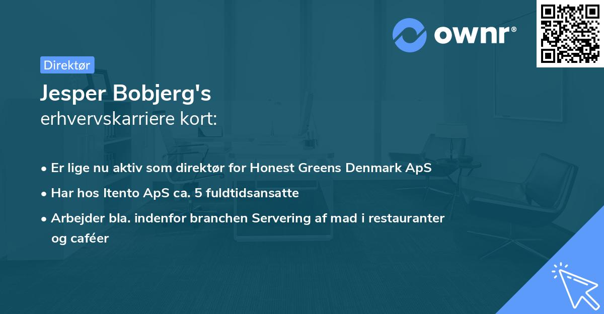 Jesper Bobjerg's erhvervskarriere kort