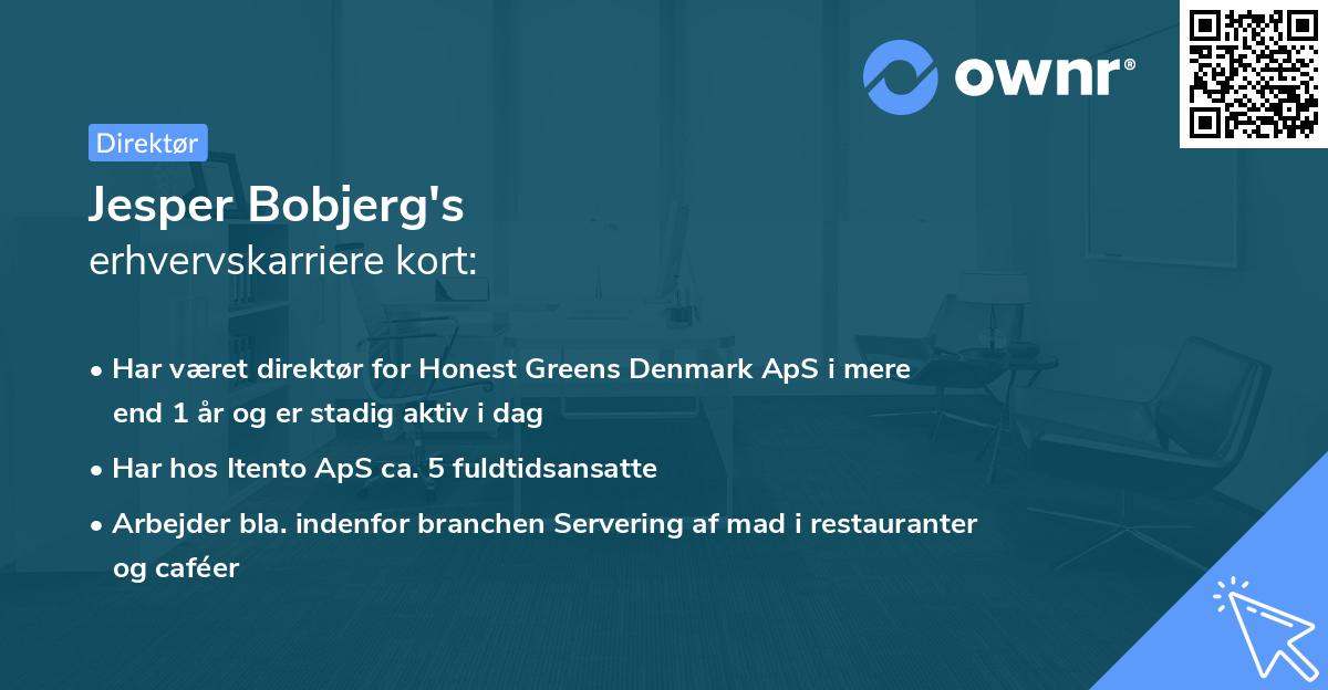 Jesper Bobjerg's erhvervskarriere kort