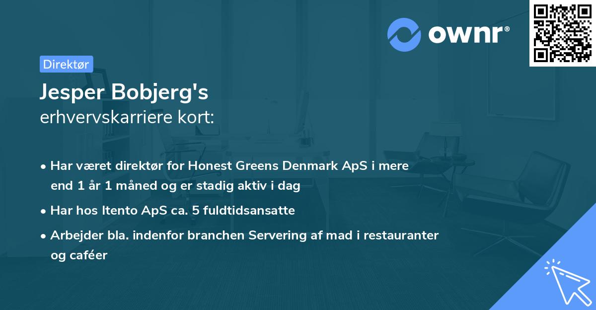 Jesper Bobjerg's erhvervskarriere kort