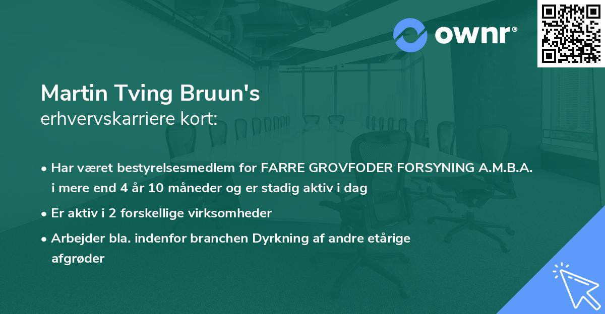 Martin Tving Bruun's erhvervskarriere kort