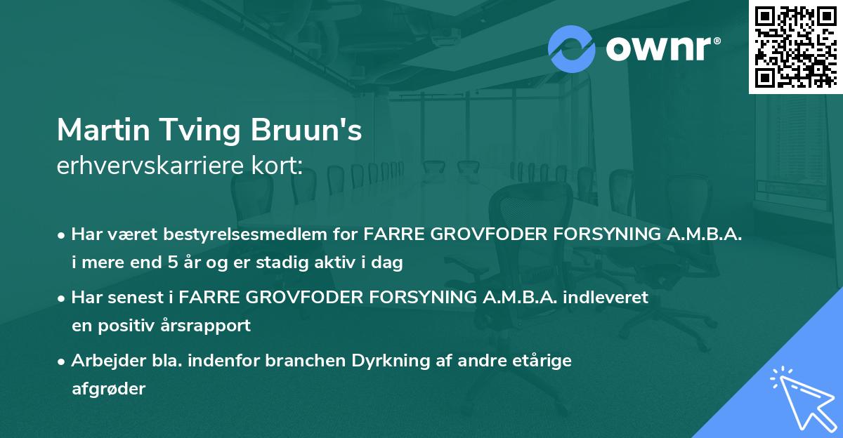 Martin Tving Bruun's erhvervskarriere kort