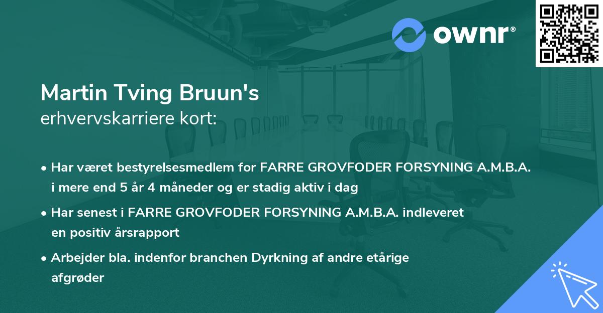 Martin Tving Bruun's erhvervskarriere kort