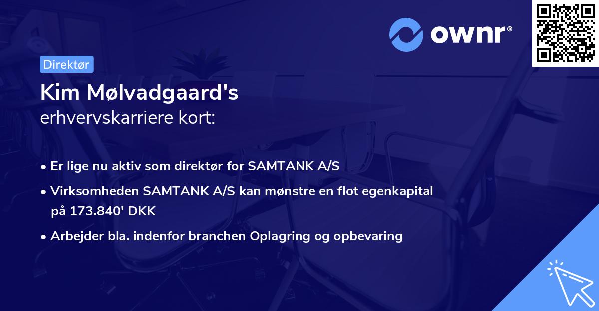 Kim Mølvadgaard's erhvervskarriere kort