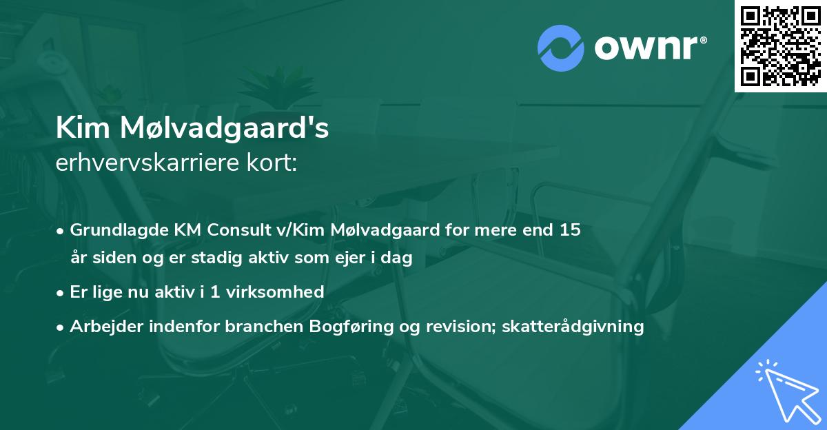 Kim Mølvadgaard's erhvervskarriere kort