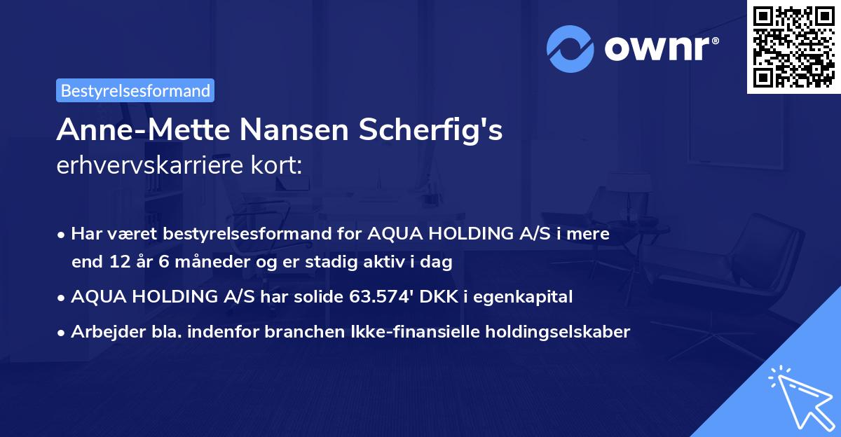 Anne-Mette Nansen Scherfig's erhvervskarriere kort