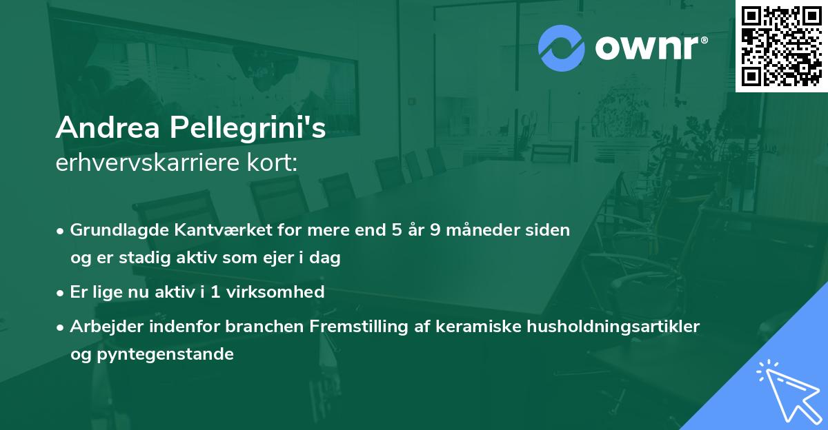 Andrea Pellegrini's erhvervskarriere kort