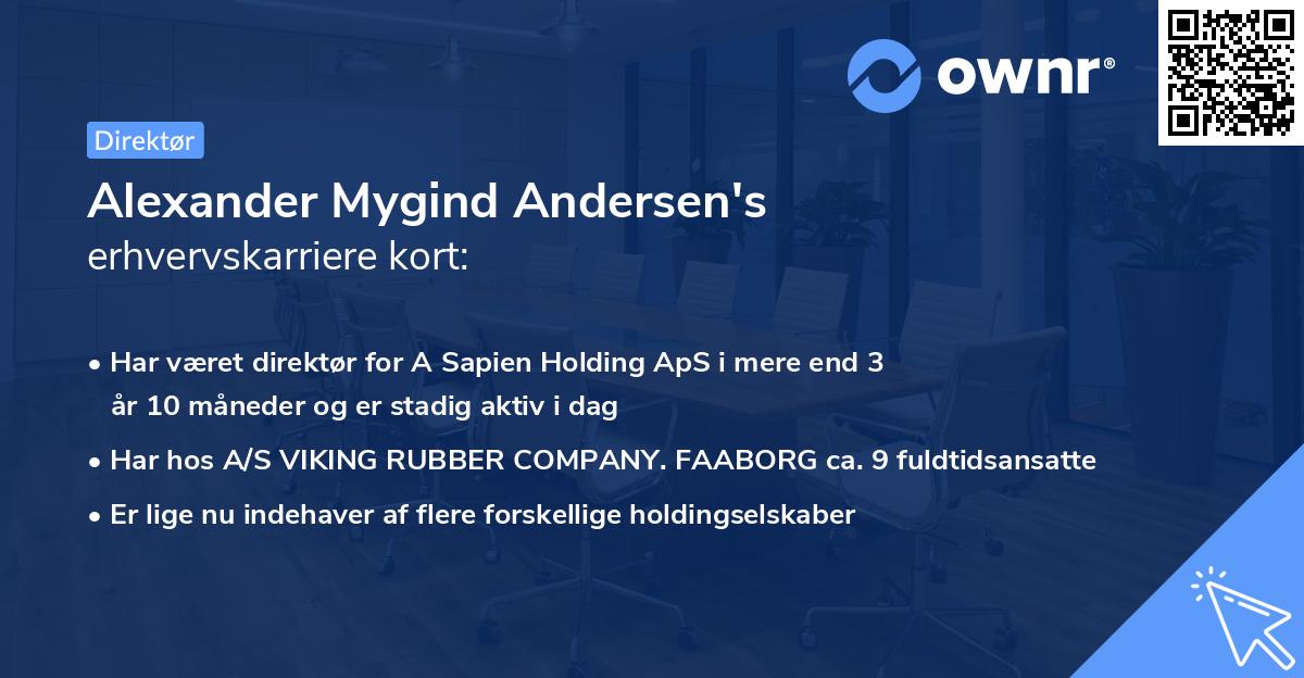 Alexander Mygind Andersen's erhvervskarriere kort