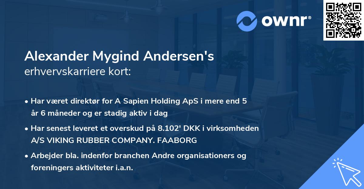Alexander Mygind Andersen's erhvervskarriere kort