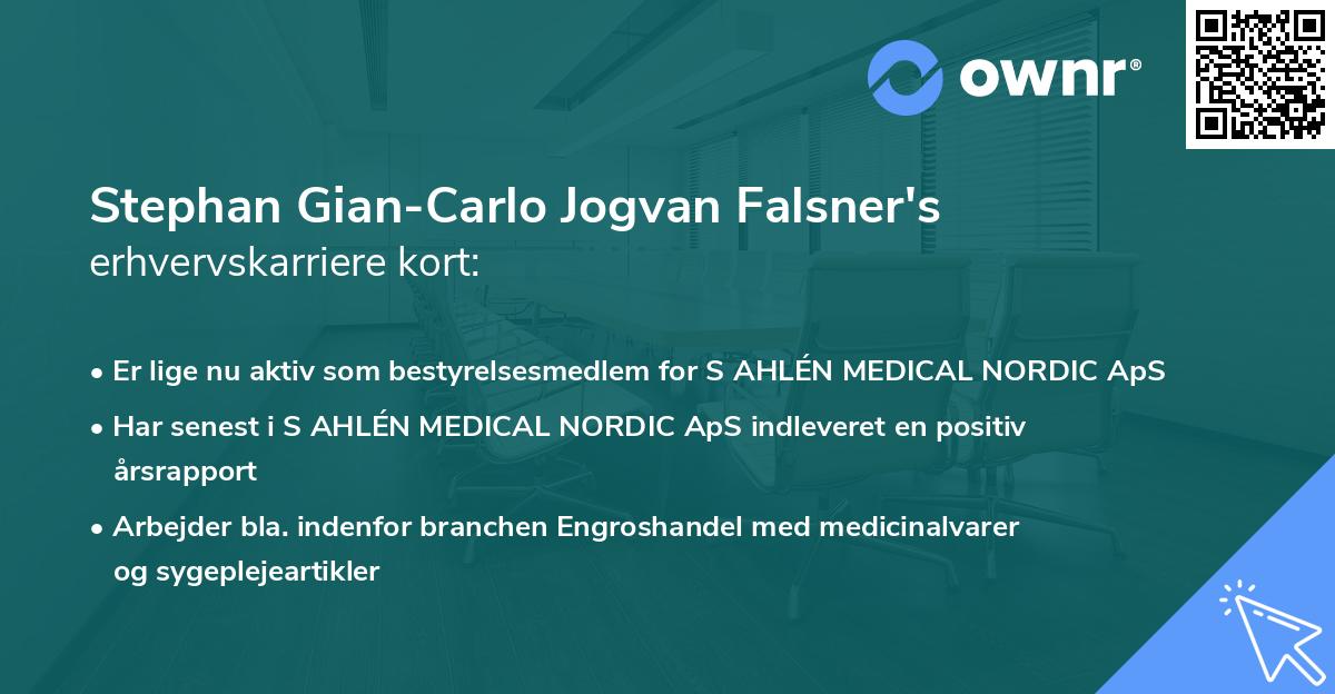 Stephan Gian-Carlo Jogvan Falsner's erhvervskarriere kort