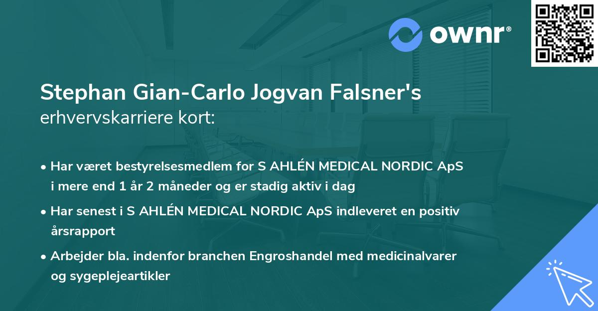 Stephan Gian-Carlo Jogvan Falsner's erhvervskarriere kort