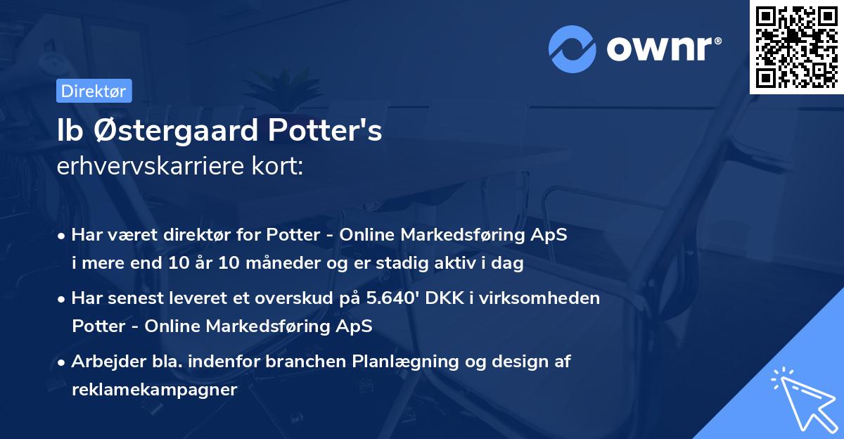 Ib Østergaard Potter's erhvervskarriere kort