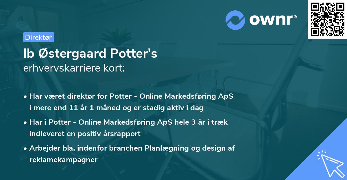 Ib Østergaard Potter's erhvervskarriere kort