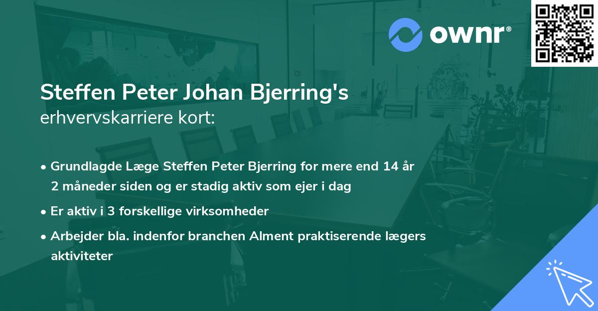 Steffen Peter Johan Bjerring's erhvervskarriere kort