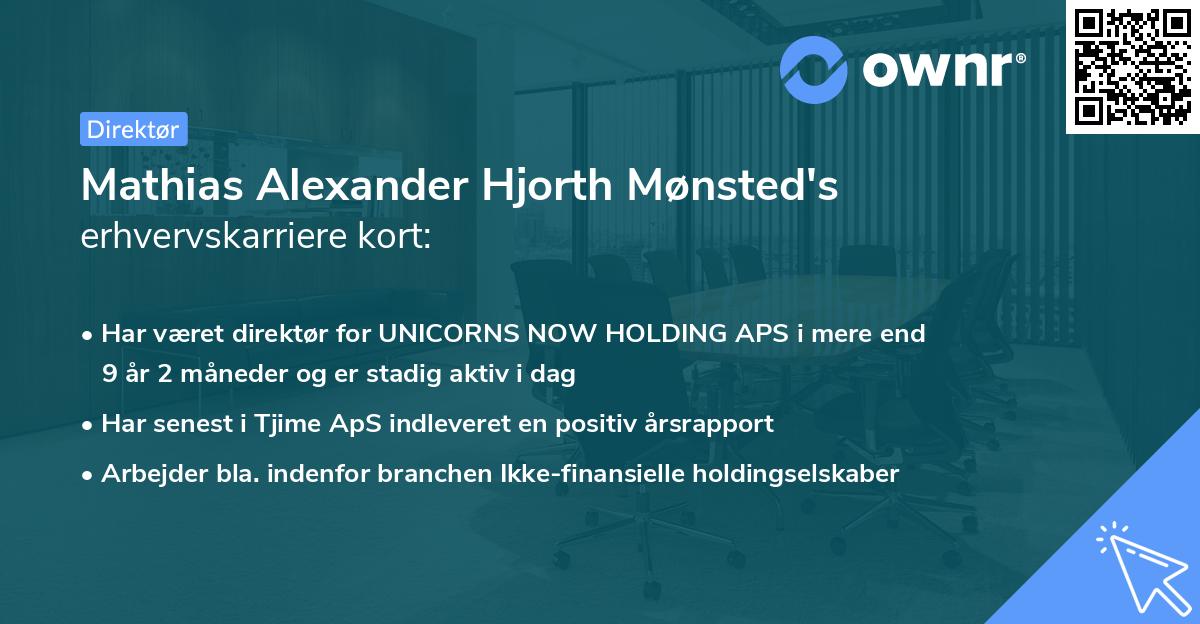 Mathias Alexander Hjorth Mønsted's erhvervskarriere kort