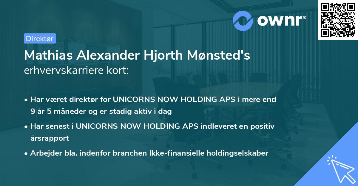 Mathias Alexander Hjorth Mønsted's erhvervskarriere kort