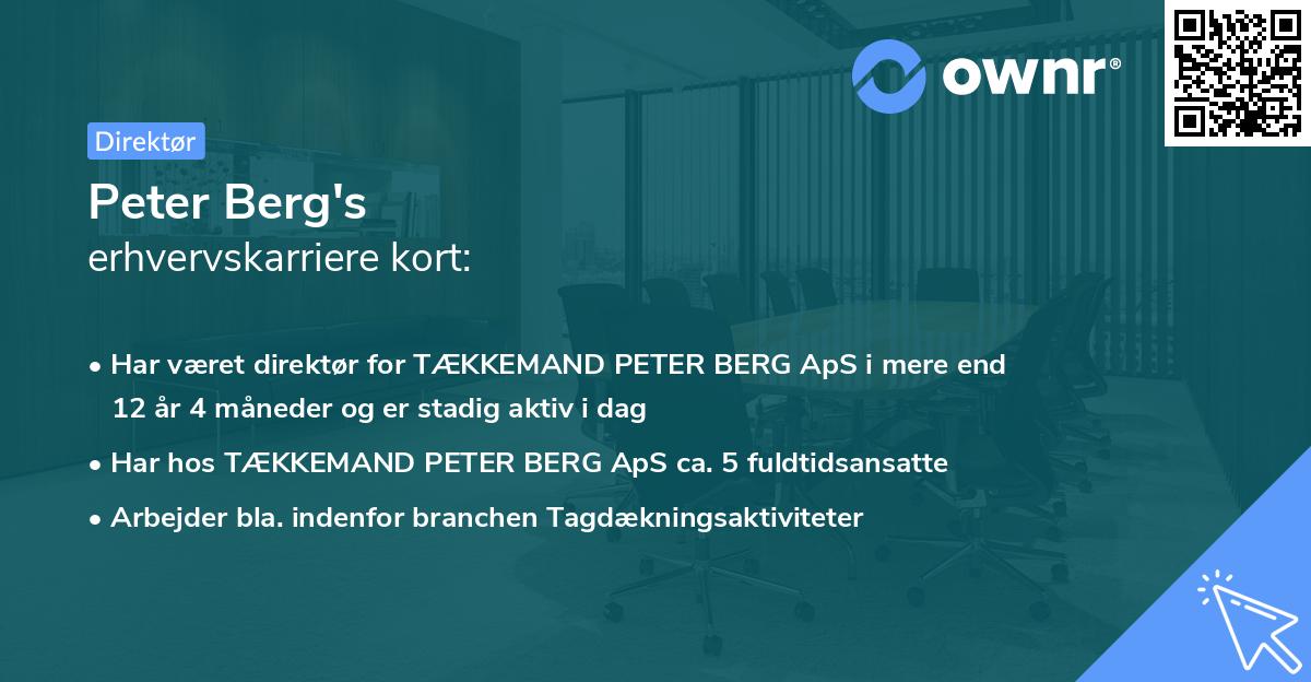 Peter Berg's erhvervskarriere kort