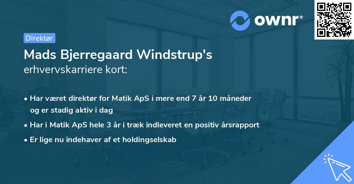 Mads Bjerregaard Windstrup's erhvervskarriere kort