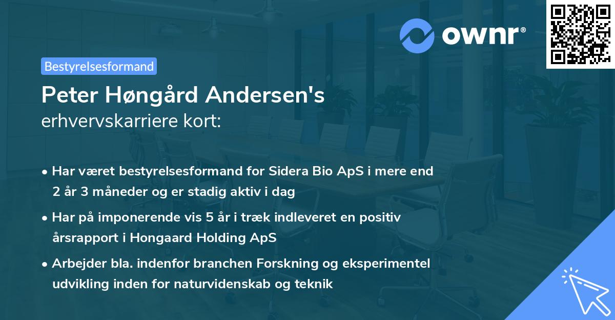 Peter Høngård Andersen's erhvervskarriere kort