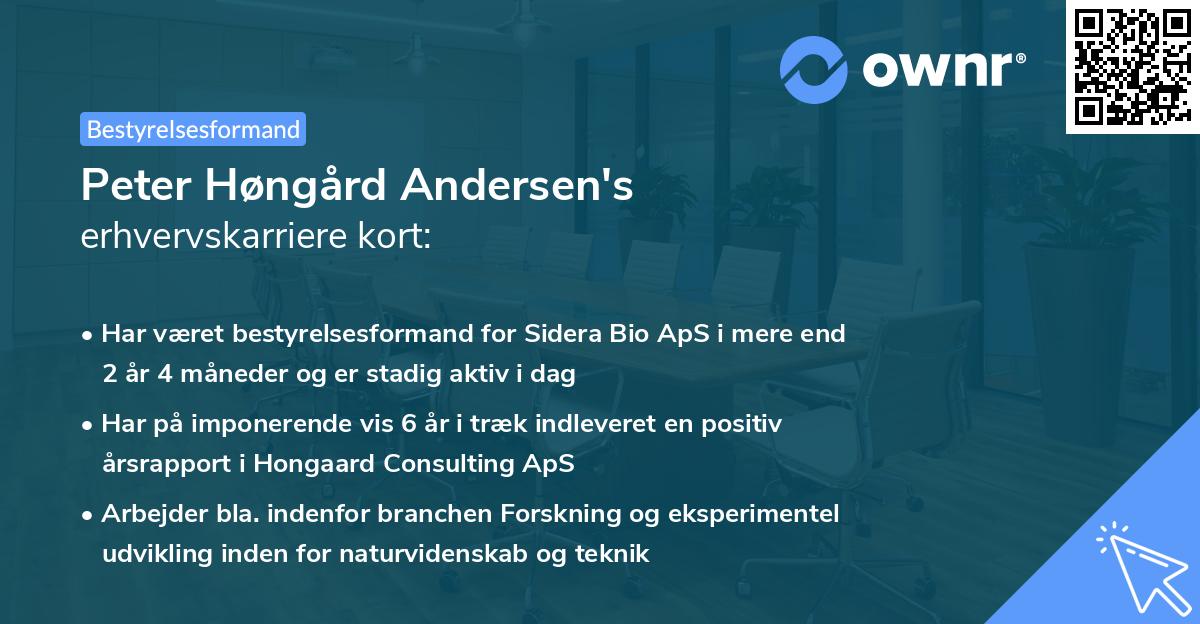 Peter Høngård Andersen's erhvervskarriere kort