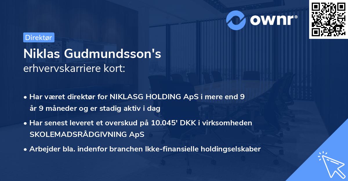 Niklas Gudmundsson's erhvervskarriere kort