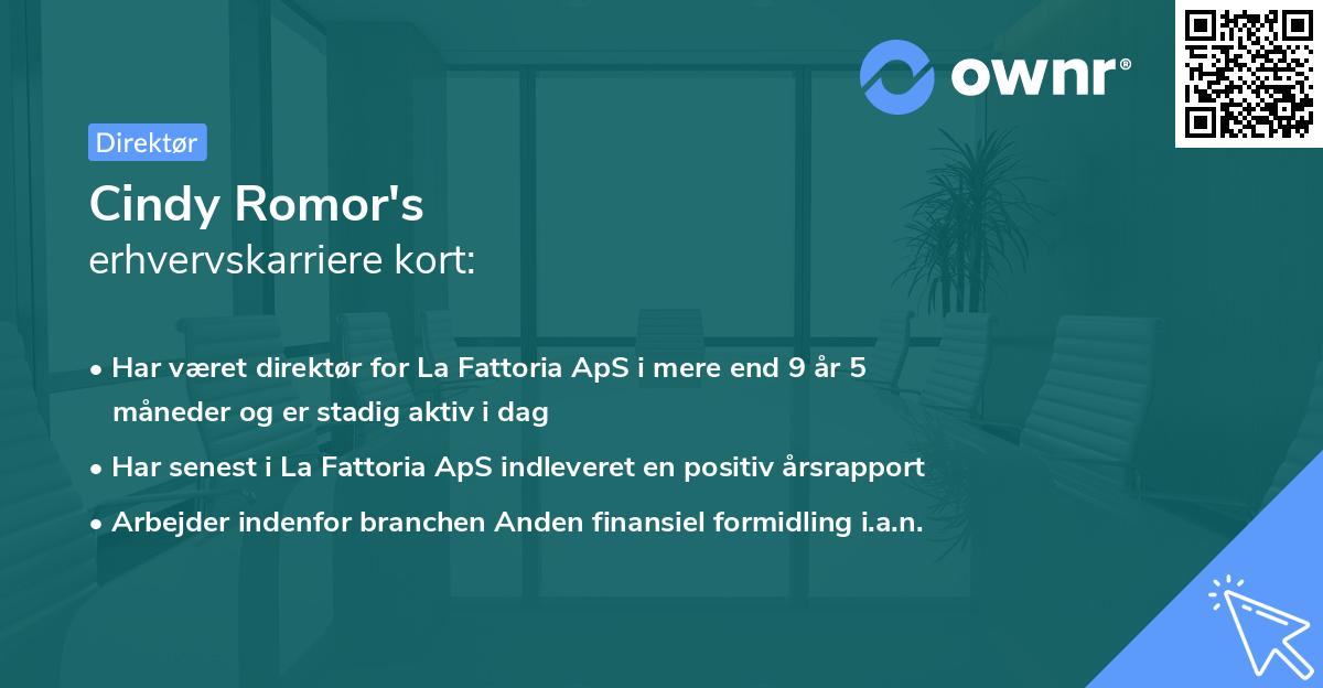 Cindy Romor's erhvervskarriere kort