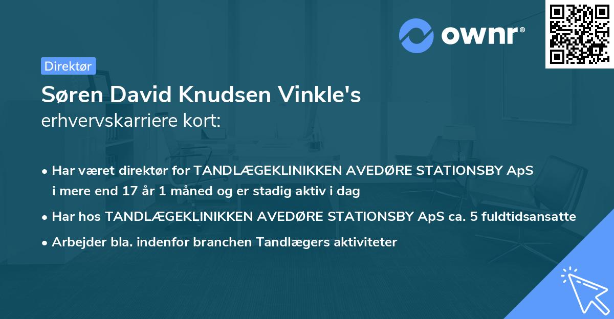 Søren David Knudsen Vinkle's erhvervskarriere kort