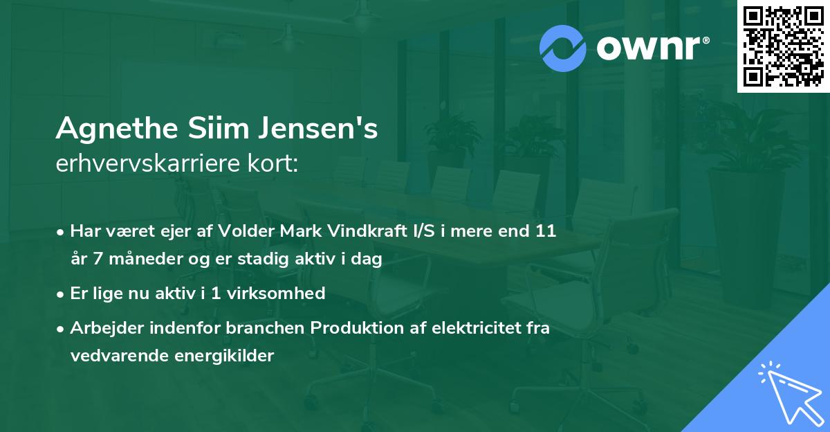 Agnethe Siim Jensen's erhvervskarriere kort