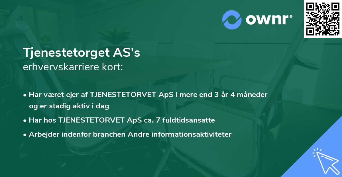 Tjenestetorget AS's erhvervskarriere kort