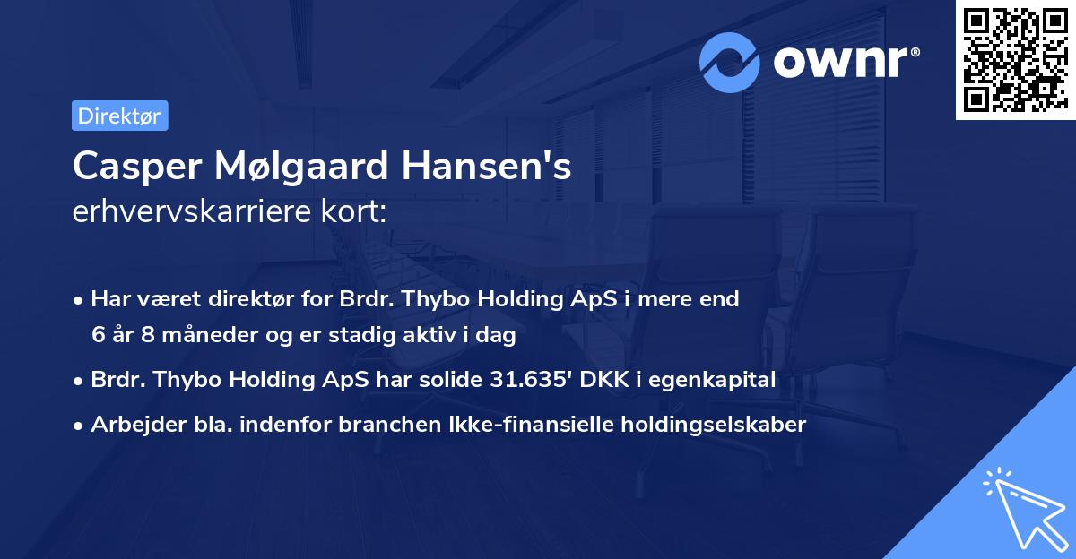 Casper Mølgaard Hansen's erhvervskarriere kort