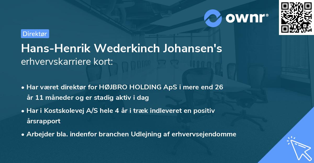 Hans-Henrik Wederkinch Johansen's erhvervskarriere kort