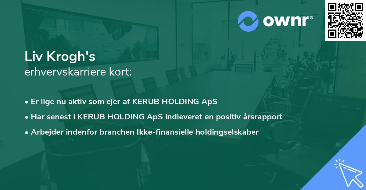 Liv Krogh's erhvervskarriere kort