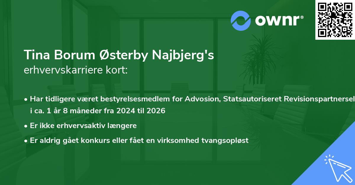 Tina Borum Østerby Najbjerg's erhvervskarriere kort