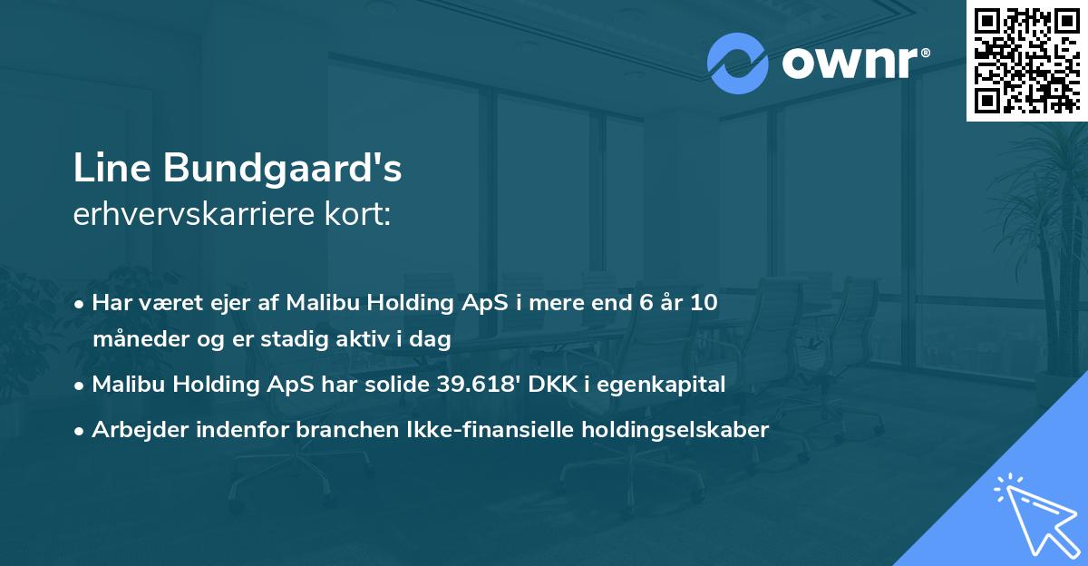 Line Bundgaard's erhvervskarriere kort
