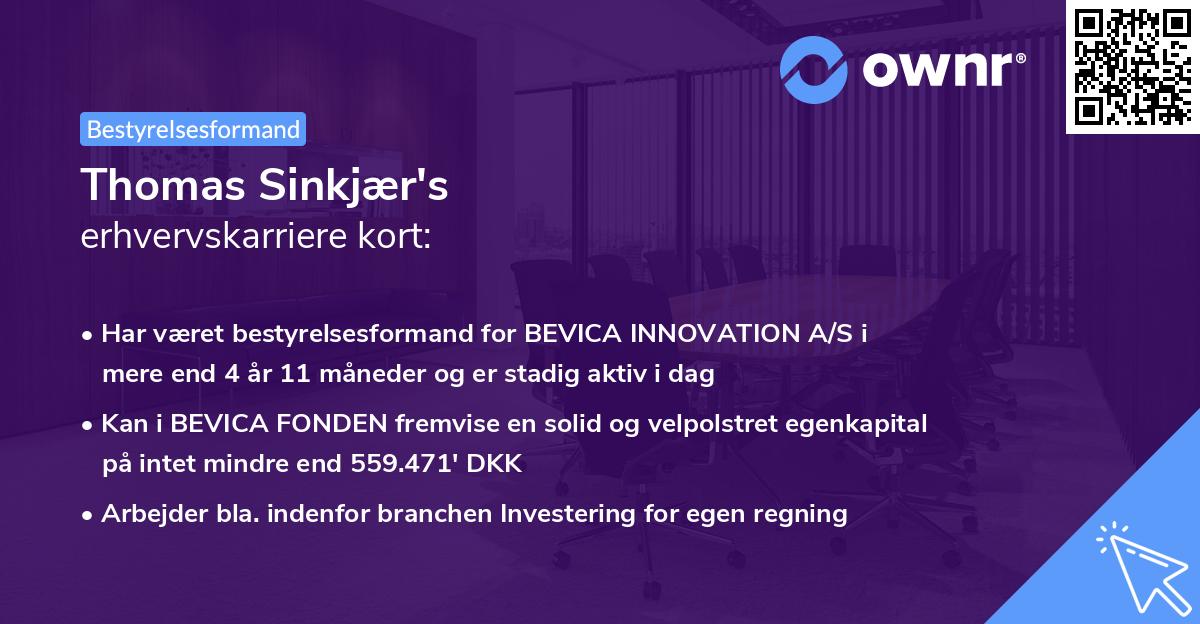 Thomas Sinkjær's erhvervskarriere kort