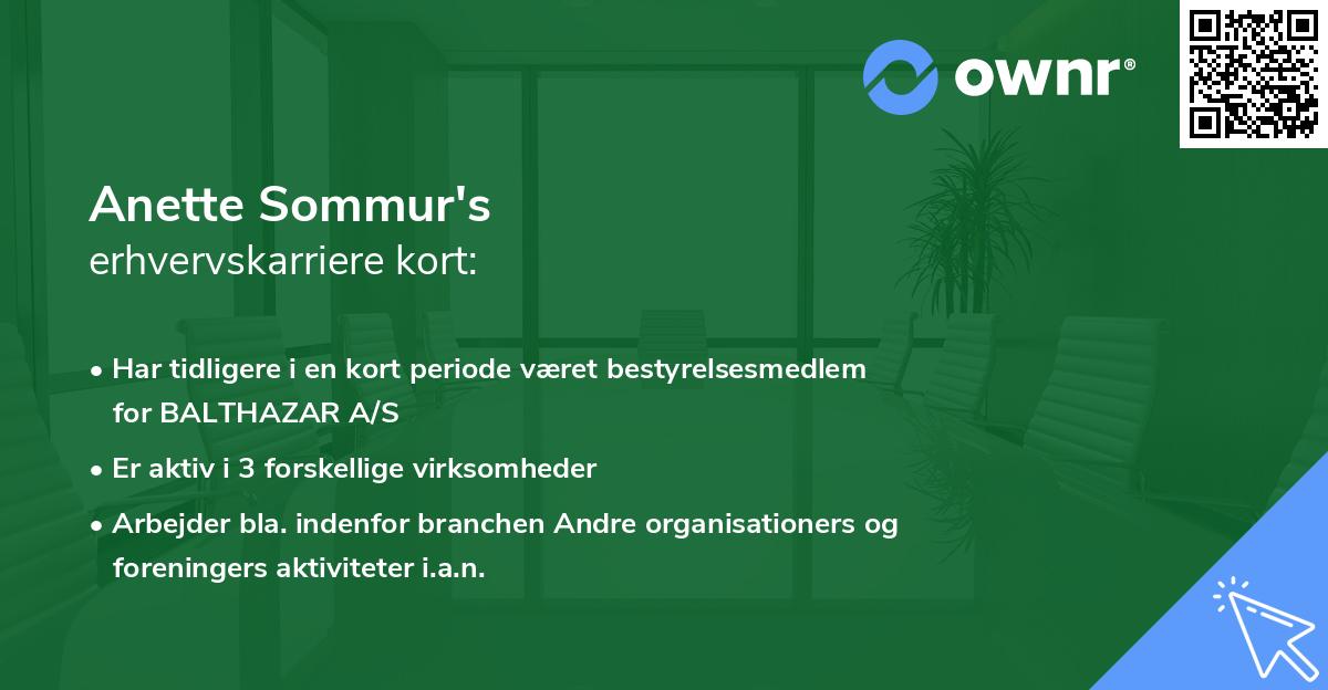 Anette Sommur's erhvervskarriere kort
