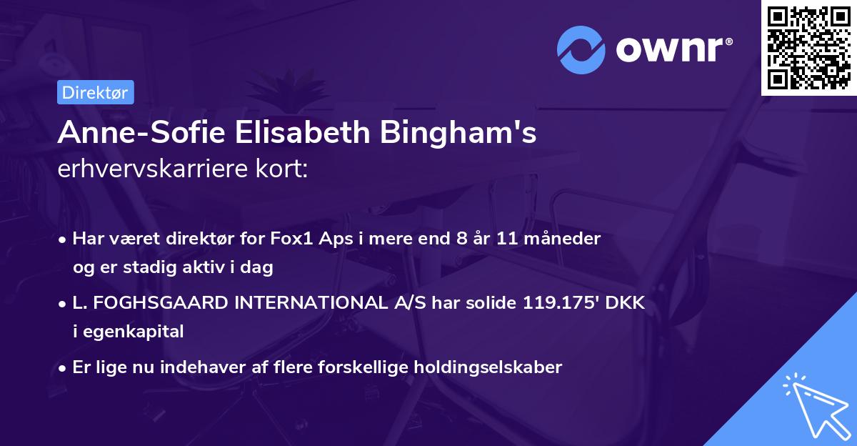 Anne-Sofie Elisabeth Bingham's erhvervskarriere kort