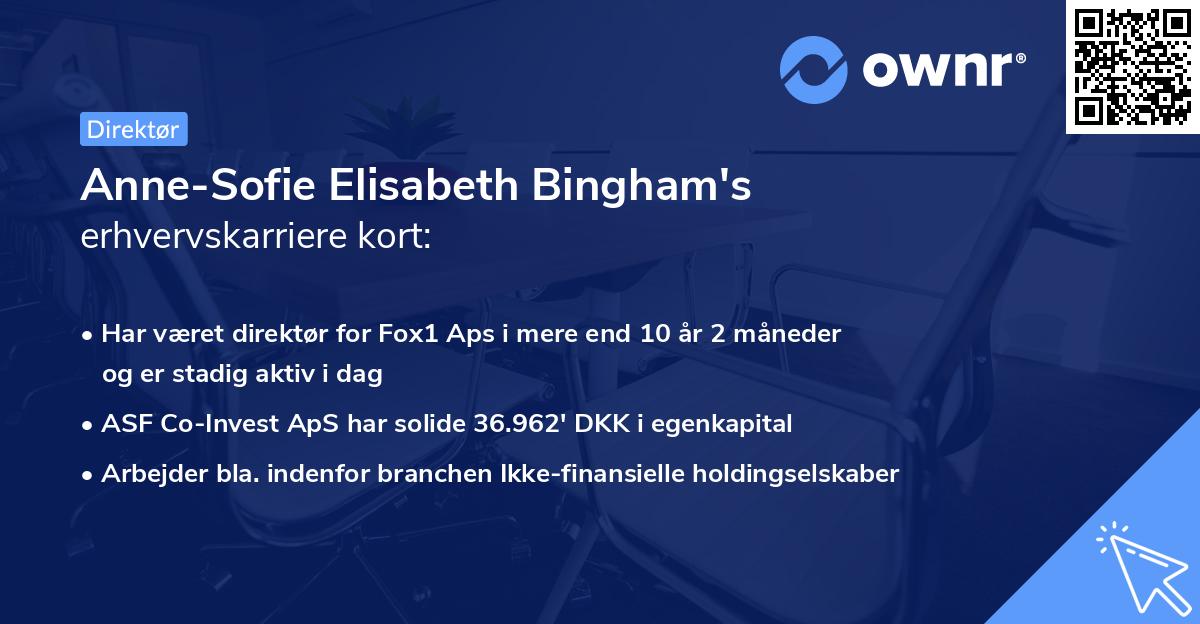 Anne-Sofie Elisabeth Bingham's erhvervskarriere kort