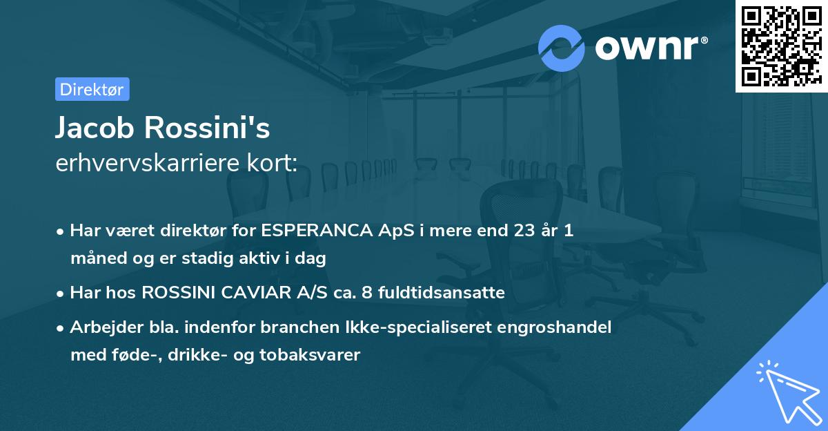 Jacob Rossini's erhvervskarriere kort
