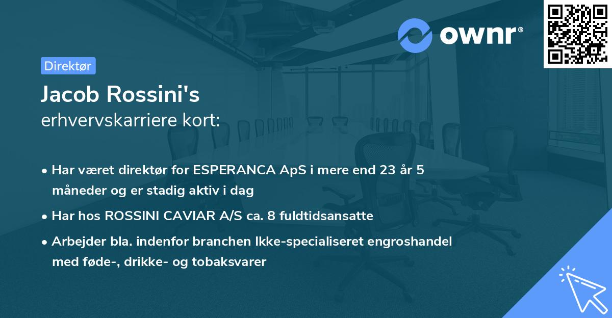 Jacob Rossini's erhvervskarriere kort