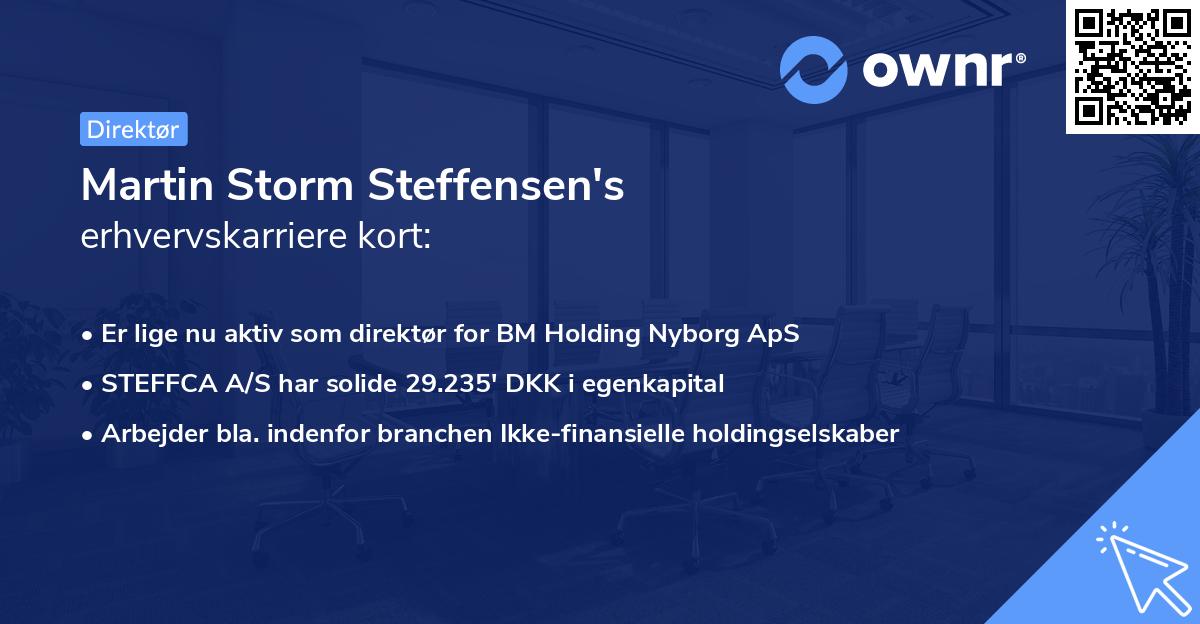 Martin Storm Steffensen's erhvervskarriere kort
