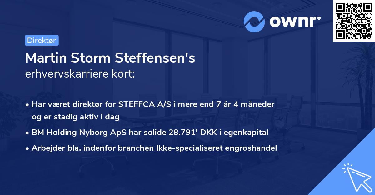 Martin Storm Steffensen's erhvervskarriere kort