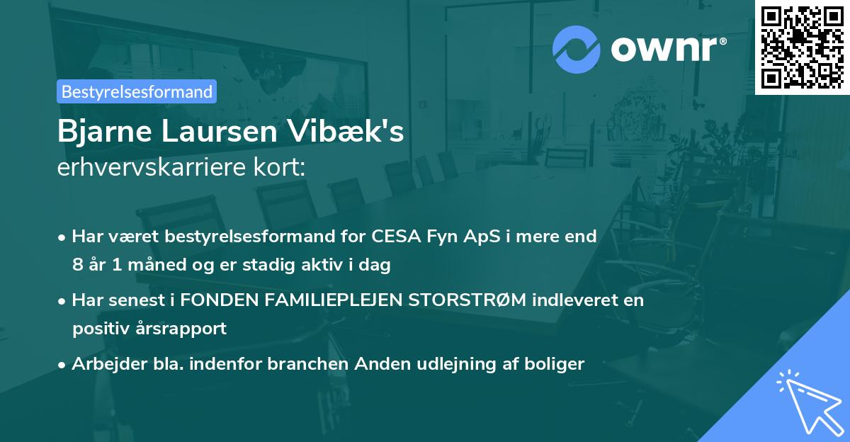 Bjarne Laursen Vibæk's erhvervskarriere kort