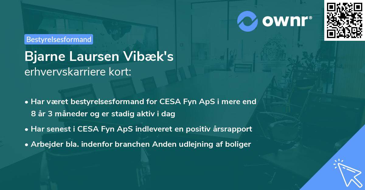Bjarne Laursen Vibæk's erhvervskarriere kort