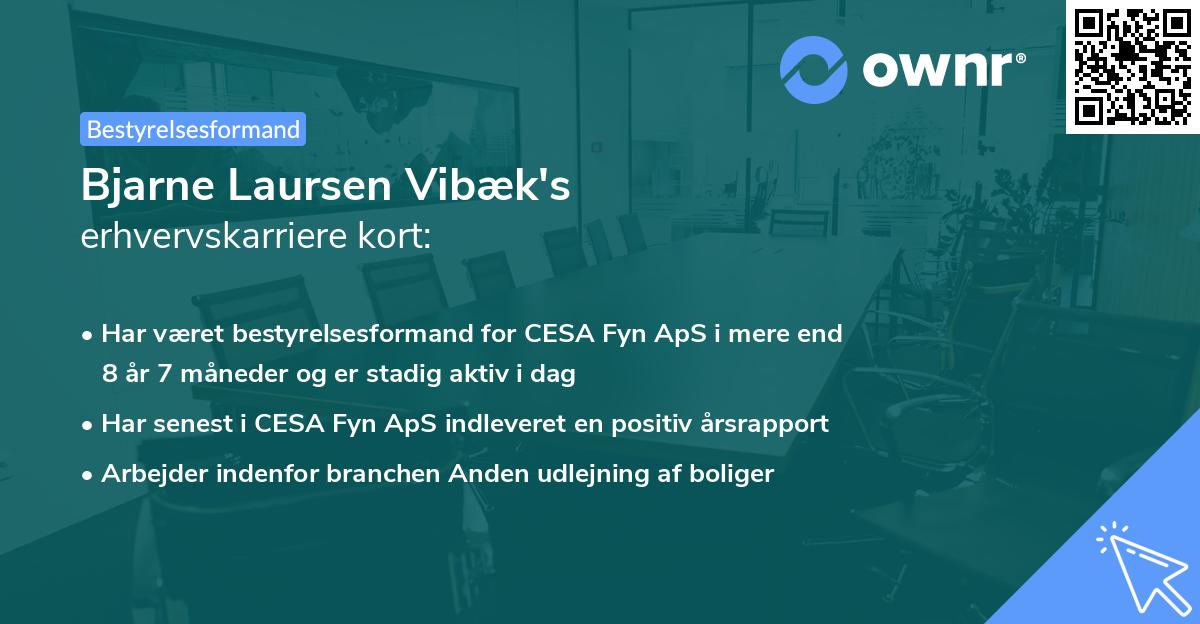 Bjarne Laursen Vibæk's erhvervskarriere kort