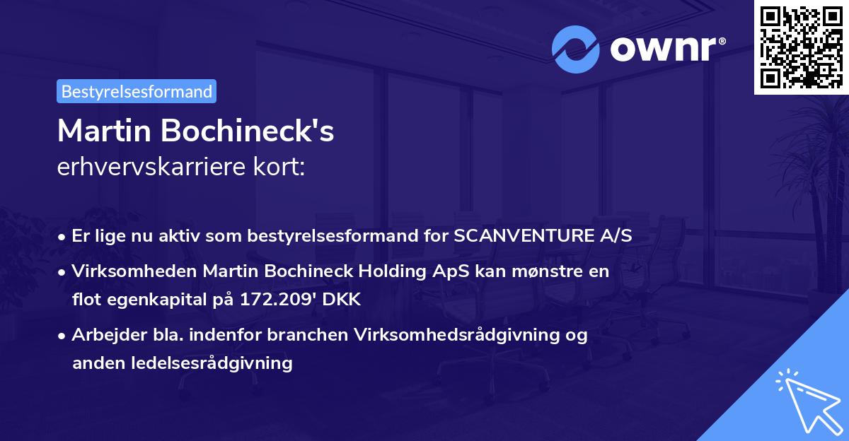 Martin Bochineck's erhvervskarriere kort